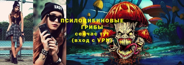 тгк Медвежьегорск